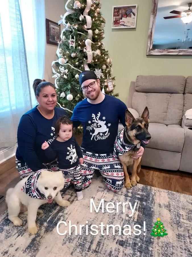 Blue Christmas Elk Pattern Matching Family Christmas Pajamas - Image 4