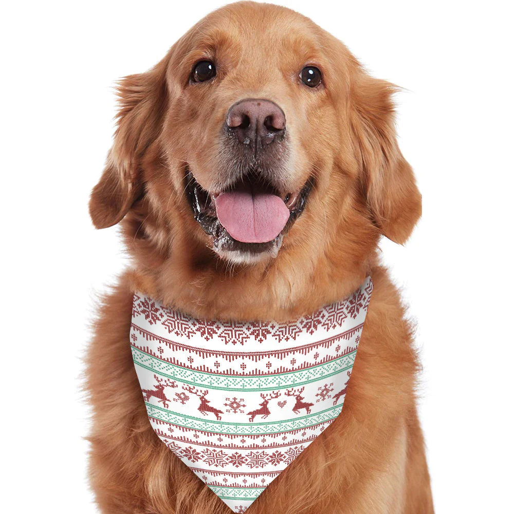 Christmas deer Snowflake Matching Family Christmas Pajamas-Dog Pajamas Included - Image 11