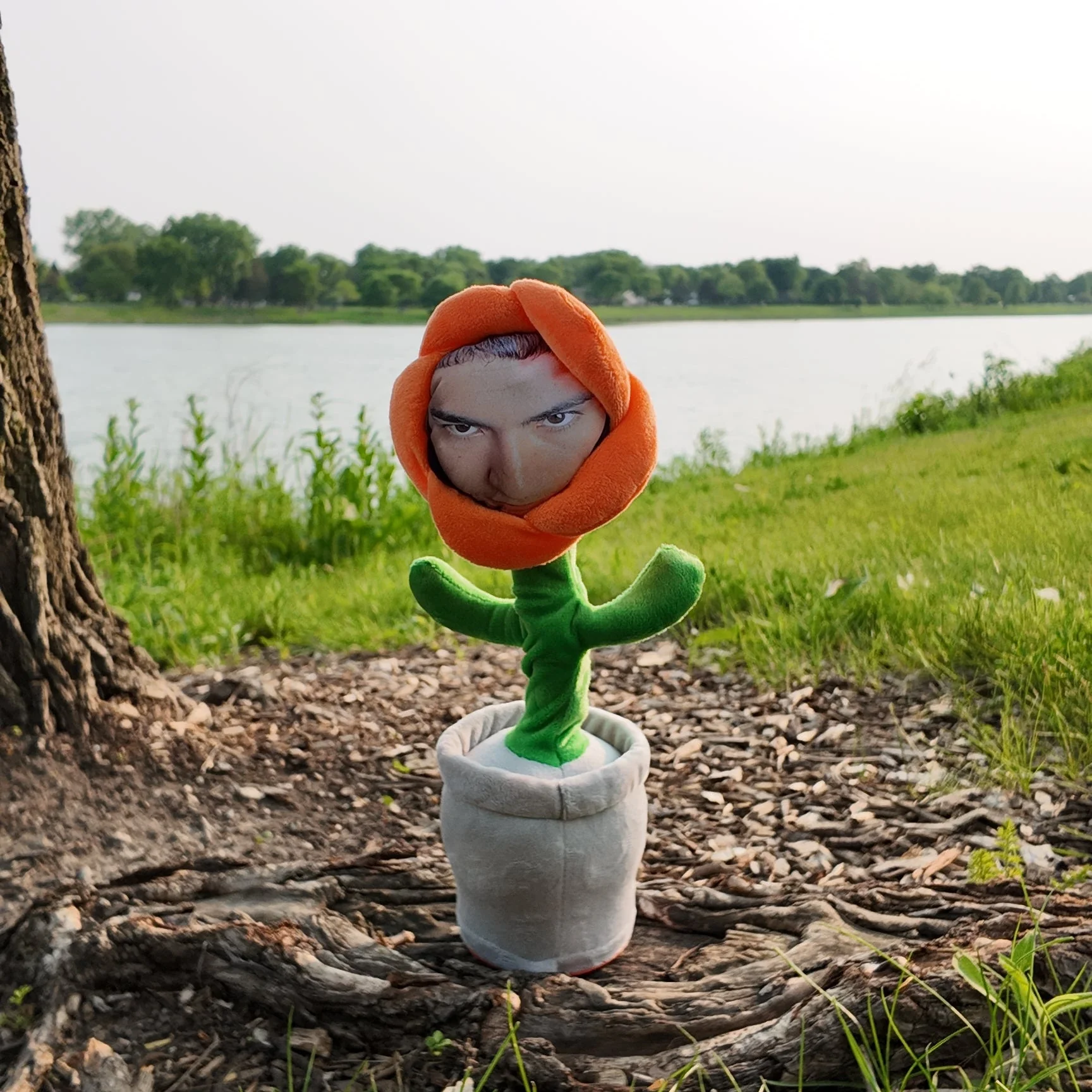 Custom Flower Face - Image 5