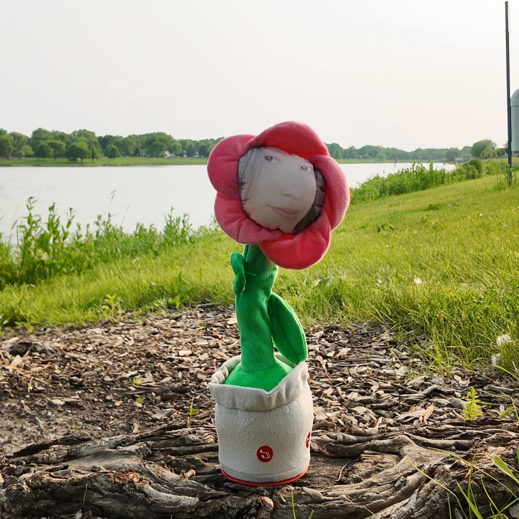 Custom Flower Face - Image 7