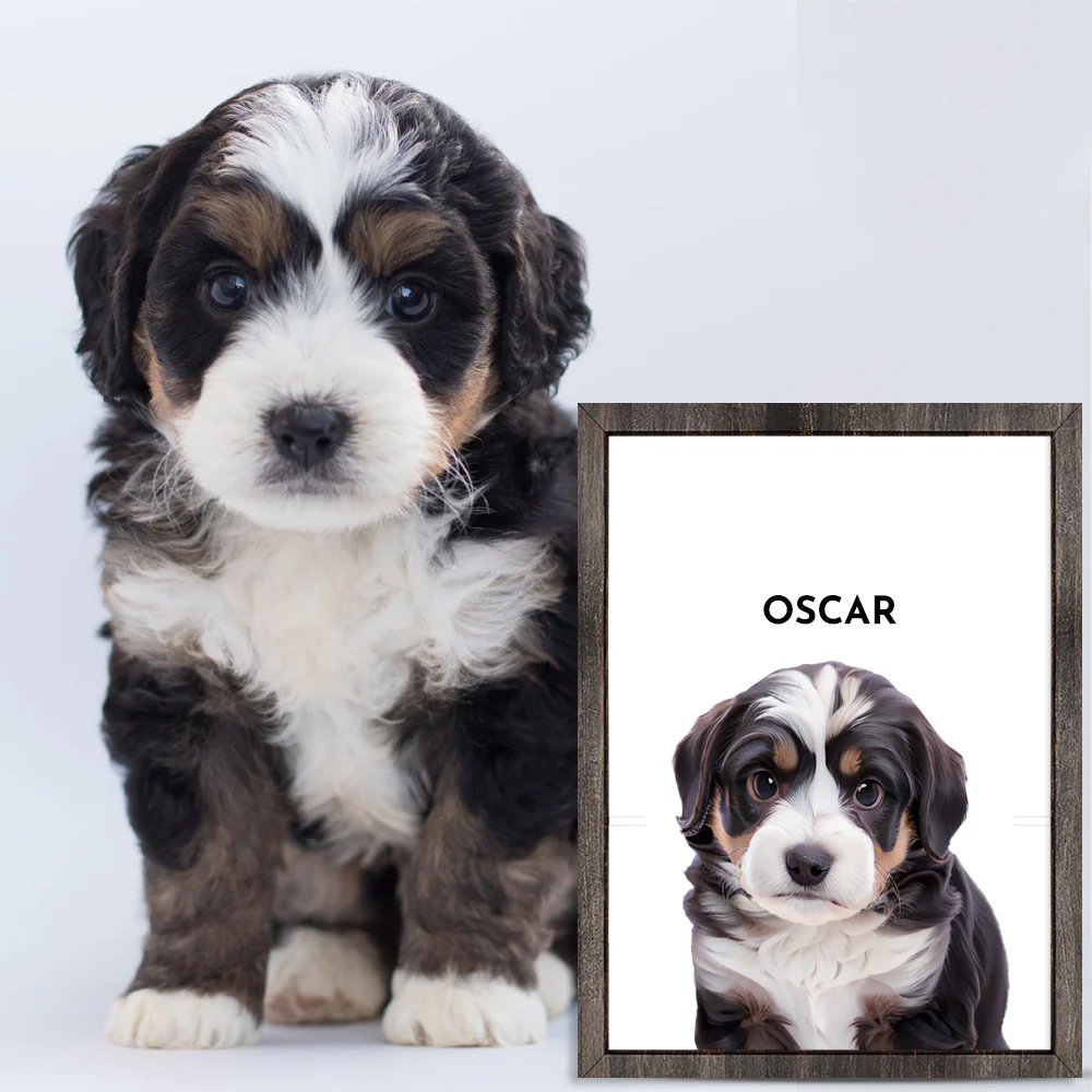Custom One Pet Portrait - Image 4