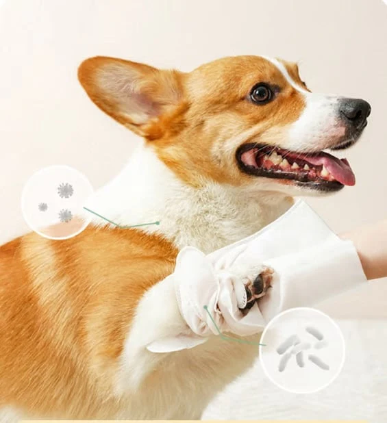 Deodorizing Pet Glove Wipes For Dogs(6Pcs) - Image 6