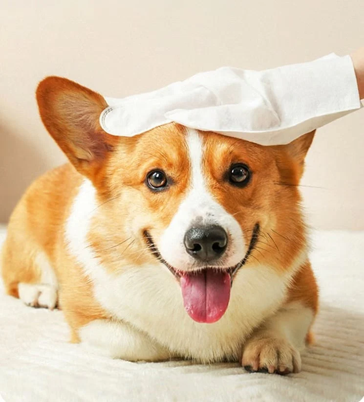 Deodorizing Pet Glove Wipes For Dogs(6Pcs) - Image 7