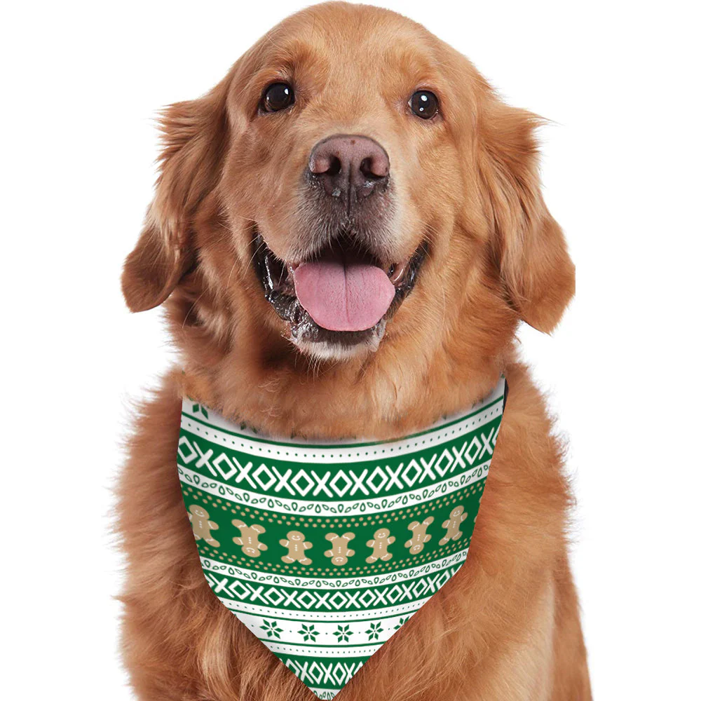 Green Gingerbread Matching Family Christmas Pajamas (Dog Pajamas Included) - Image 11