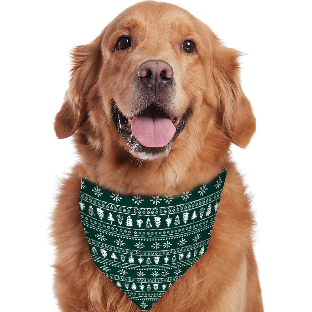 Green Reindeer Matching Family Christmas Pajamas | Adults, Kids & Dog Pajamas - Image 4