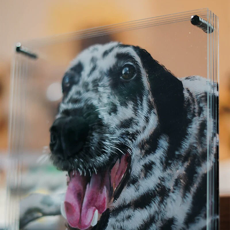 Hand-Painted Muti-Layers 3D Pet Acrylic Painting - Image 4
