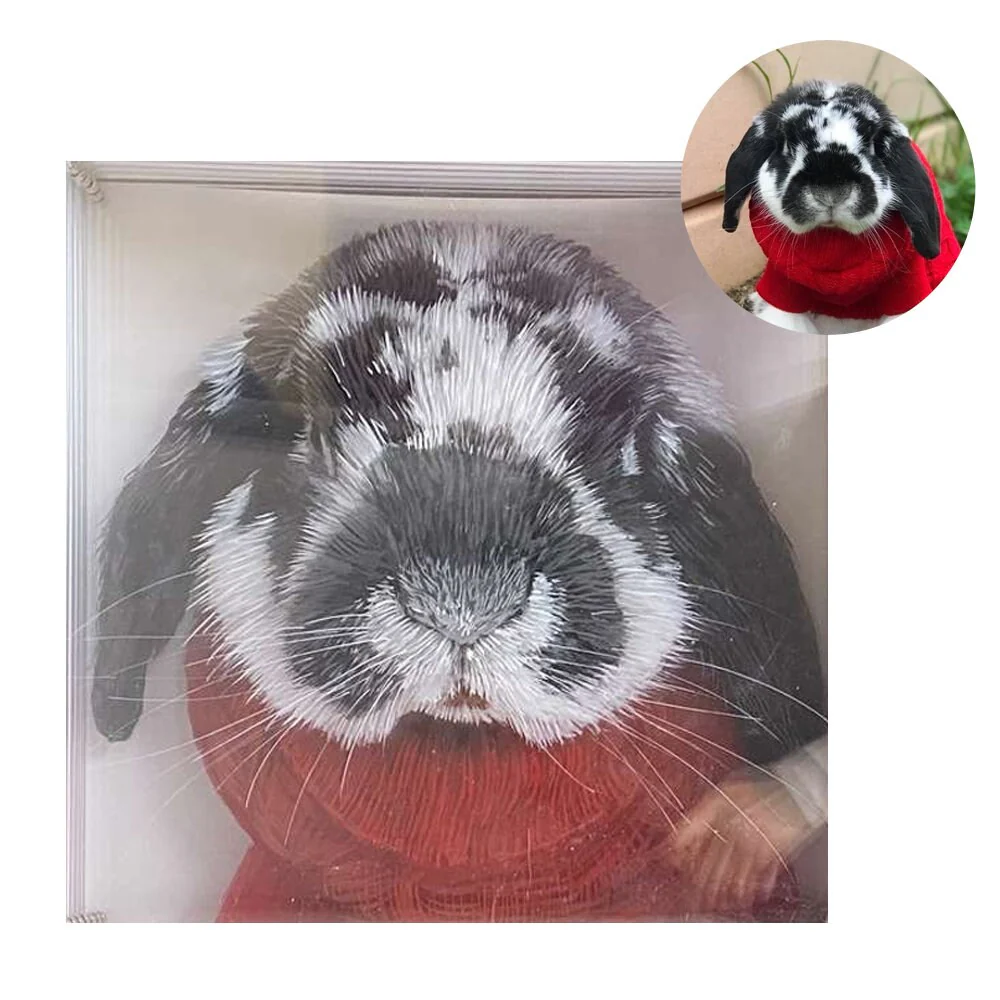 Hand-Painted Muti-Layers 3D Pet Acrylic Painting - Image 7