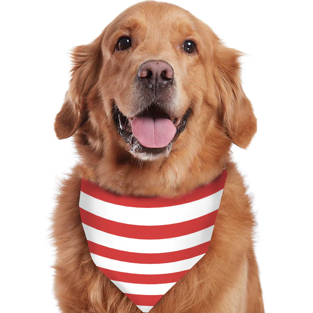 Holiday Red and White Striped Matching Family Christmas Pajamas-Dog Pajamas Included - Image 5