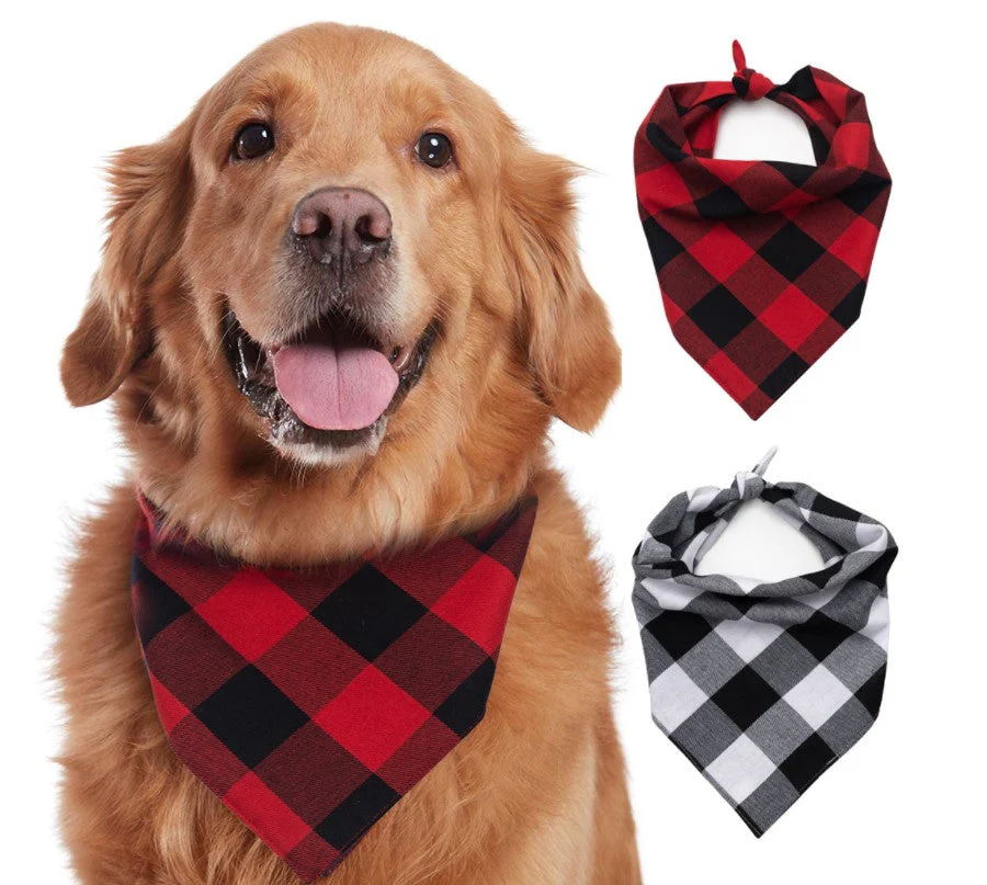 Santa Claus Letter Plaid Matching Family Christmas Pajamas - Image 7