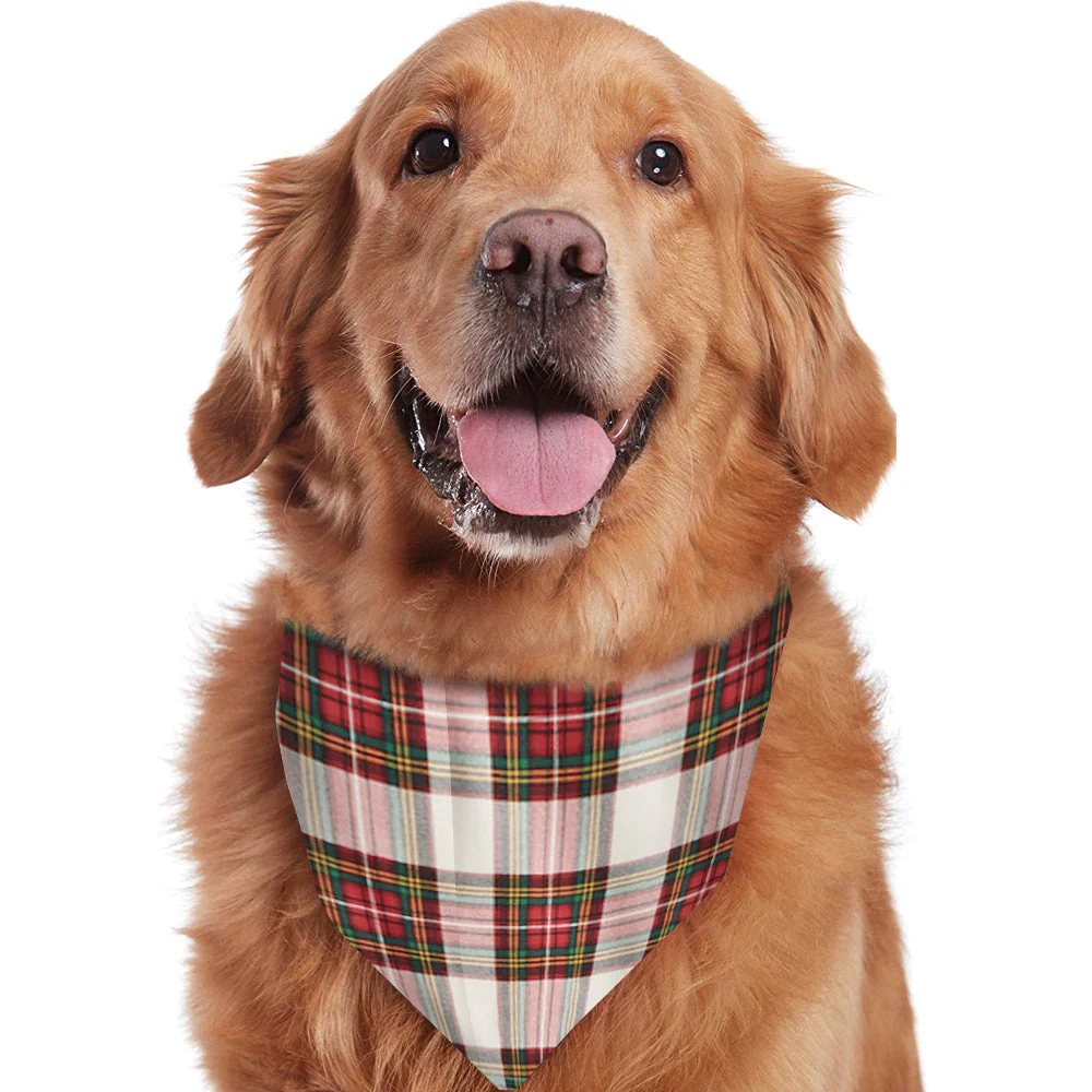 Tartan Plaid Matching Family Christmas Pajamas-Dog Pajamas Included - Image 6